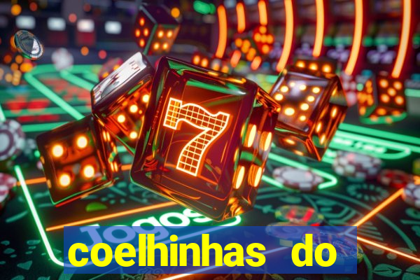 coelhinhas do brasil recife